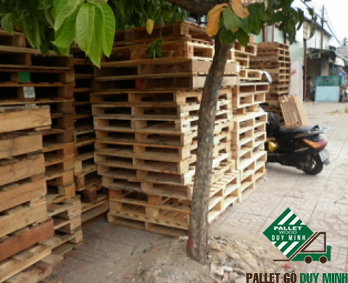 Công Ty TNHH Một Thành Viên Pallet Gỗ Duy Minh — hình ảnh từ trangvangvietnam.com